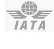 International Airlines Travel Agents Network